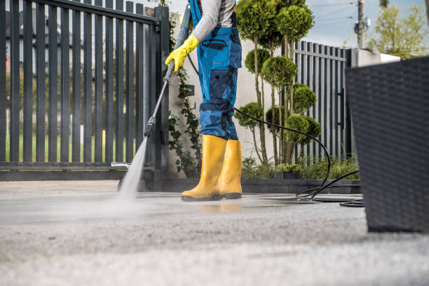 Boat and Dock Cleaning